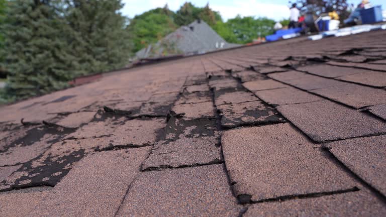 Fast & Reliable Emergency Roof Repairs in Elgin, TX